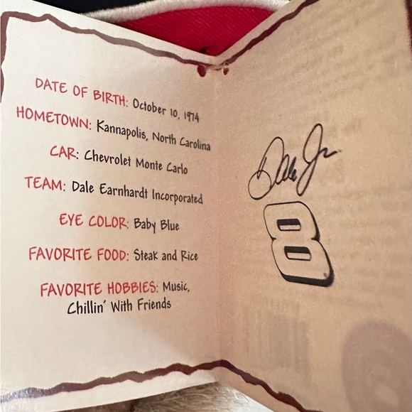 DALE EARNHARDT JR ( 8 ) NASCAR - COLLECTORS BOYDS BEAR - Picture 10 of 12